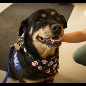 Meet your Posher, Amber